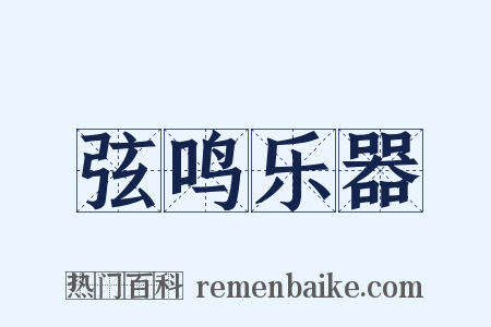弦鸣乐器是什么意思的图片